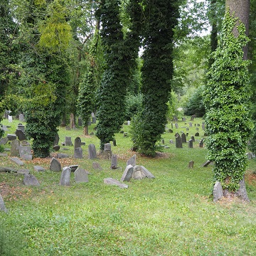 Obrázek článku: Židovský hřbitov